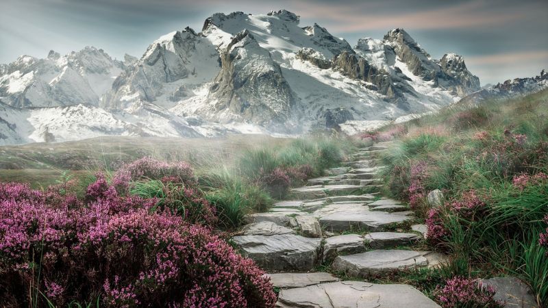 Musings-mountain-landscape-2031539_1280